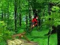 Mountain Bike igrati online