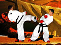 Taekwon-Do igrati online