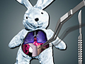 Save The Bunny igrati online