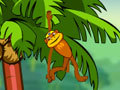 Spider Monkey igrati online