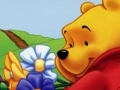 Winnie Pooh Hidden Object igrati online