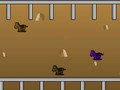 Horse Ranch igrati online